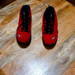 Nike Air Griffy Max 2 Cincinnati Reds